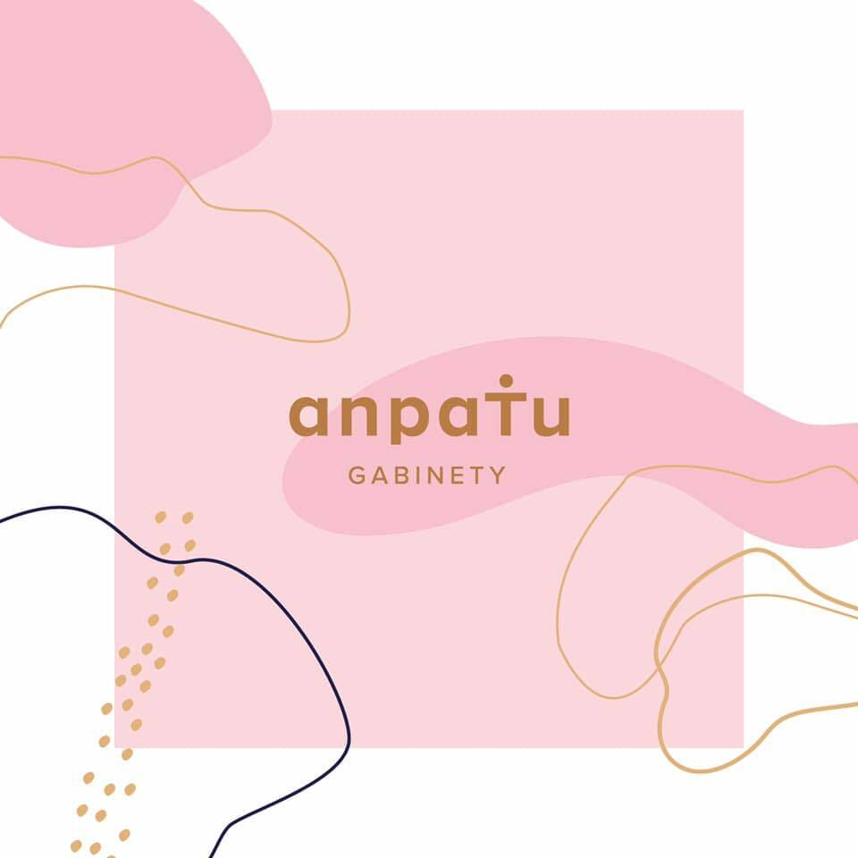 Gabinety anpaTu